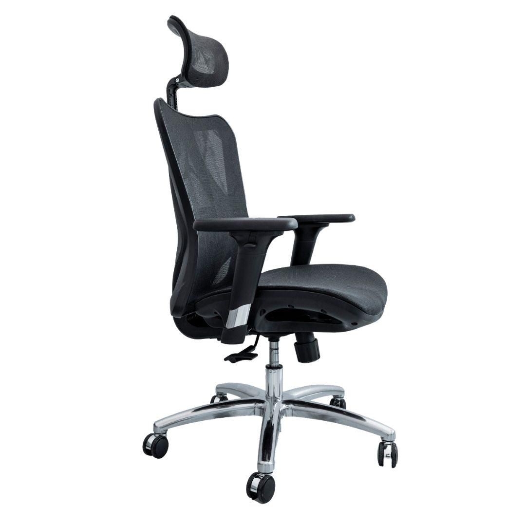 ANEW Standard Ergonomic Chair
